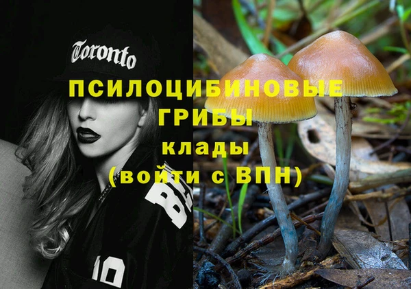 MDMA Premium VHQ Верхний Тагил