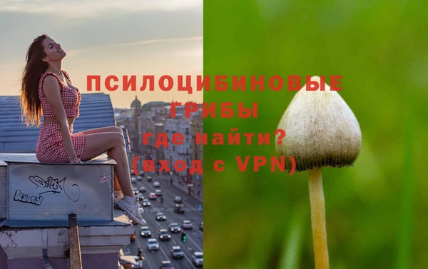 дурь Волосово