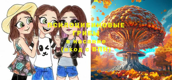 прущие крисы Верея